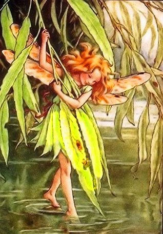 Read Online Counted Cross Stitch Pattern: The Willow Tree Fairy by Cicely Mary Barker, PROFESSIONALLY EDITED Fairies (The Flower Fairy Series) - Pronoia Designs file in ePub