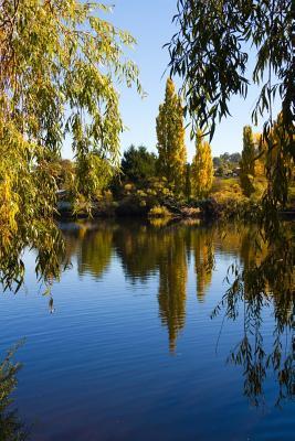 Read Online Derwent River in New Norfolk Tasmania Journal: 150 Page Lined Notebook/Diary -  | ePub