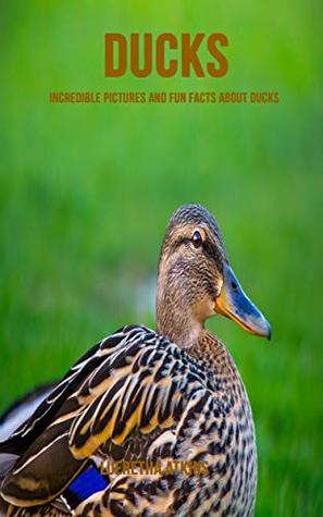 Full Download Ducks: Incredible Pictures and Fun Facts about Ducks - Lueretha Atkins file in PDF